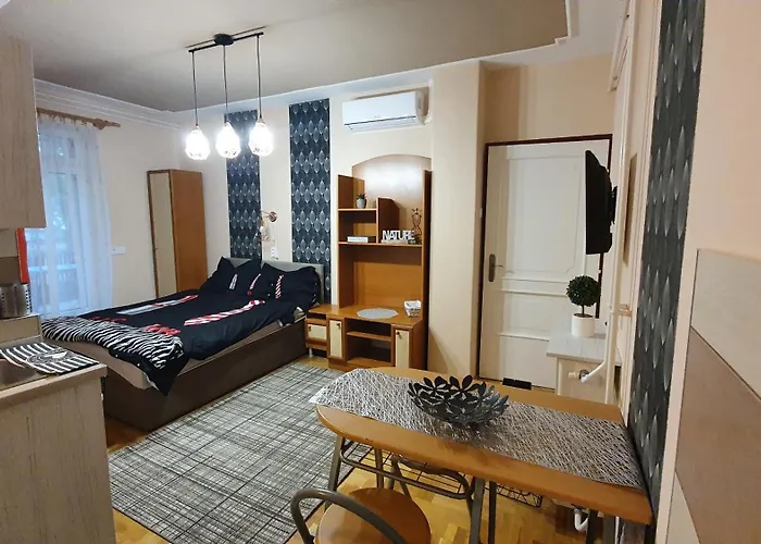 Agnes Vendeghazak Siofok-apartman 2 * Siofok